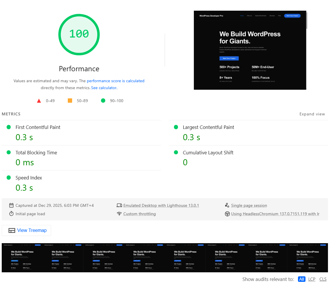 WordPress Developer Pro speed benchmark screenshot from Google PageSpeed Insights